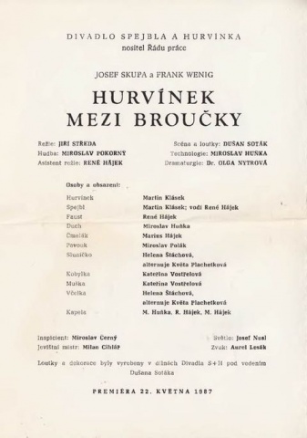 Hurvnek mezi brouky