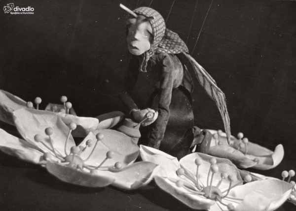 Hurvnek se u arovat (1937), foto: archiv D S+H